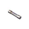 FUSE, 10 AMP MAIN POWER