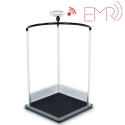 HANDRAIL SCALE W/ EMR