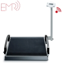 Wheelchair Scales