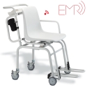 Chair Scales
