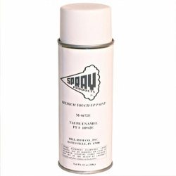 TOUCH-UP PAINT IN SPRAY CAN
