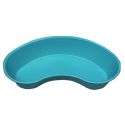 EMESIS BASIN