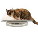 PEDIATRIC SCALE W/TRAY