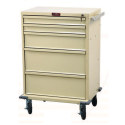 TREATMENT & PROCEDURE CART