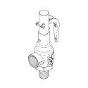SAFETY VALVE (50 PSI)