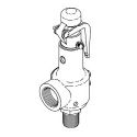 SAFETY VALVE (40 PSI)