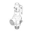 SAFETY VALVE (45 PSI)