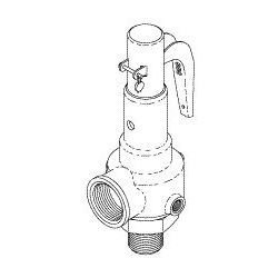 SAFETY VALVE (40 PSI)