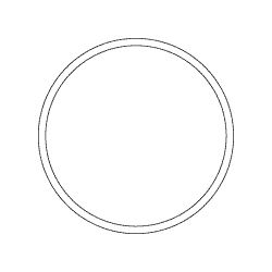 O-RING