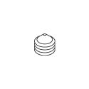 SET SCREW (PRE COATED)