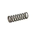 PLUNGER SPRING