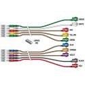 10 LEADWIRE SET-CAM14/PI