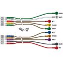 10 LEADWIRE SET-CAM14/SN