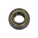 FRONT CASTER BEARING