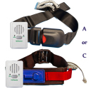 MONITOR AND SEAT BELT