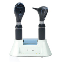 DIAGNOSTIX DESK SETS, SPECIFY