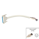 8 PIN DIN RAULAND W/8FT CORD