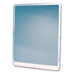 ONE PIECE MIRROR W/INTEGRAL