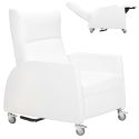 TRENDELENBURG PUSHARM RECLINER