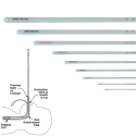 ENDOTRACHEAL TUBE CHANGERS (PK